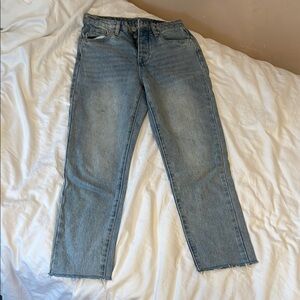 Blank NYC Light Blue Straight Leg Jeans